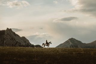 Taylor Brandon/Unsplash