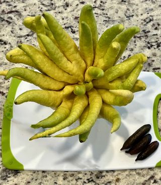 Karen E. Todd, RD Budda's Hand and Finger Limes