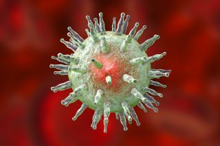 Epstein-Barr virus EBV, a herpes virus, 3D illustration
