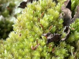 All plants—and friendships—need nurturing. 