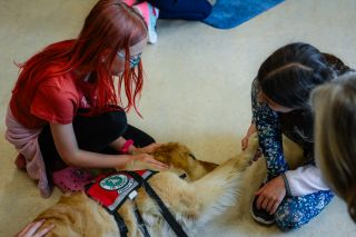 Freya L. L. Green Photography; used with permission Therapy dog provides a link to connect students