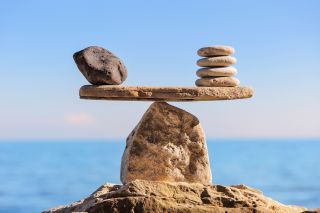 Balancing the needs of self and the group