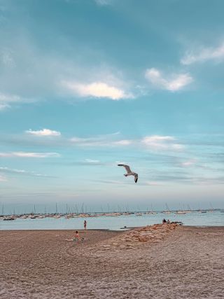 Santiago-manuel/pexels