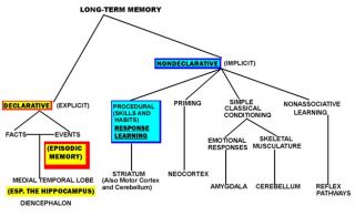 Revamping How We Think About Memory | Psychology Today