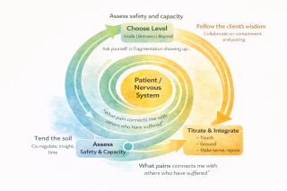 From Fragmentation to Integration: A Map of Trauma Therapy | Psychology ...