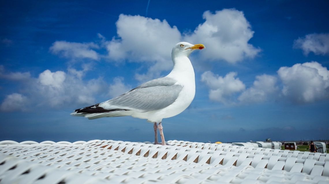 Shutterstock