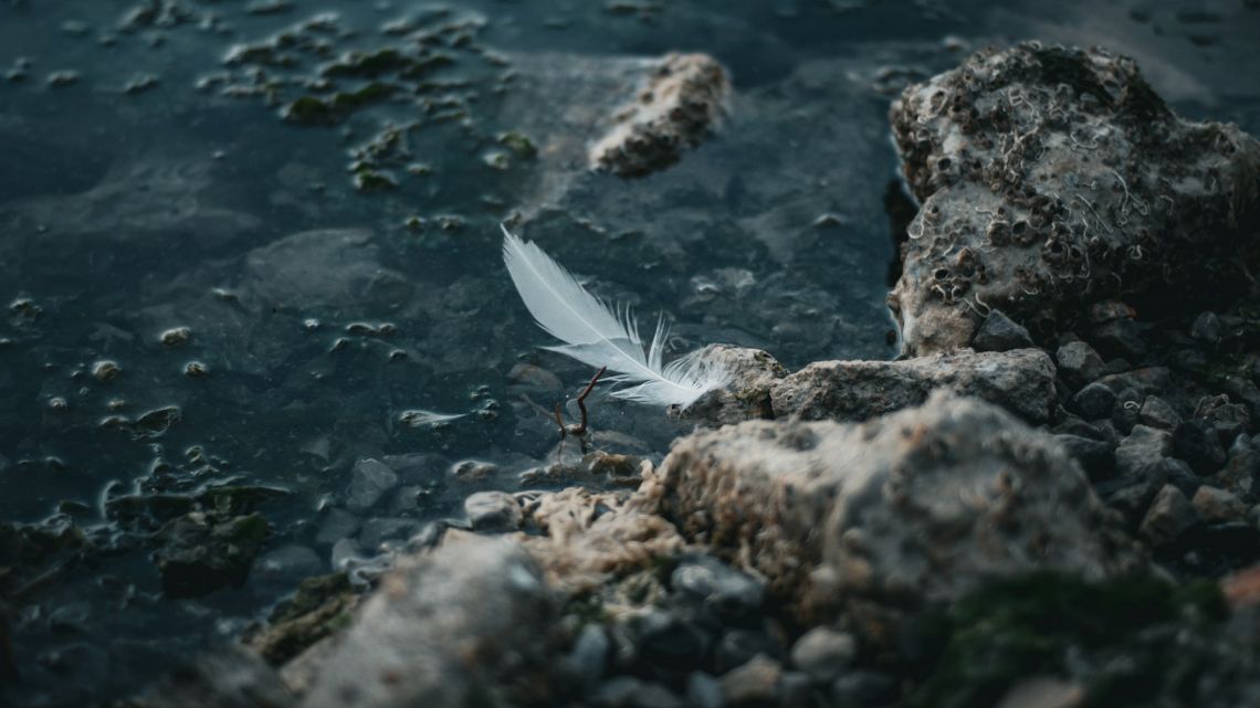 Unsplash