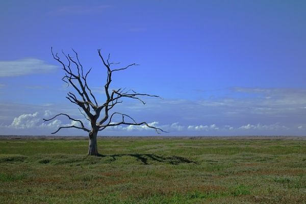 A sense of foreshortened future is a symptom of CPTSD.