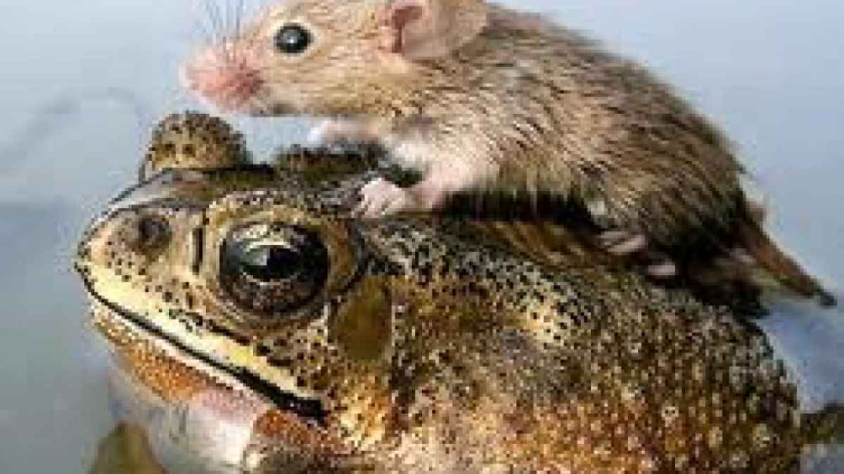 An Analysis of Altruism | Psychology Today