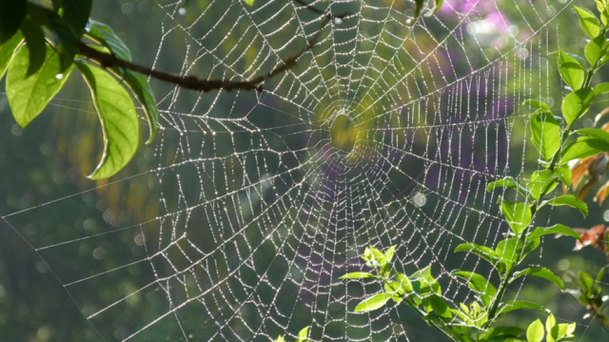 Extreme Altruism | Psychology Today Canada