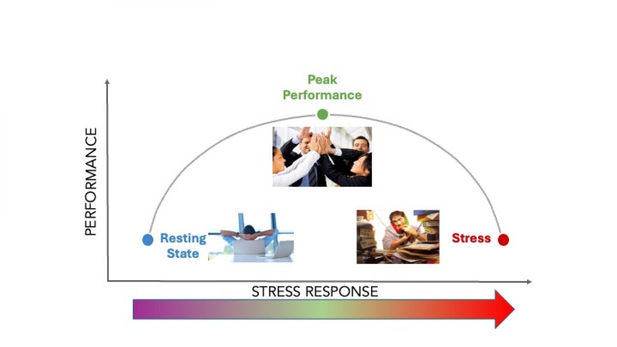 psychologytoday.com - Esther Sternberg M.D. - 2 Ways to Get Back in the Zone After Holidays