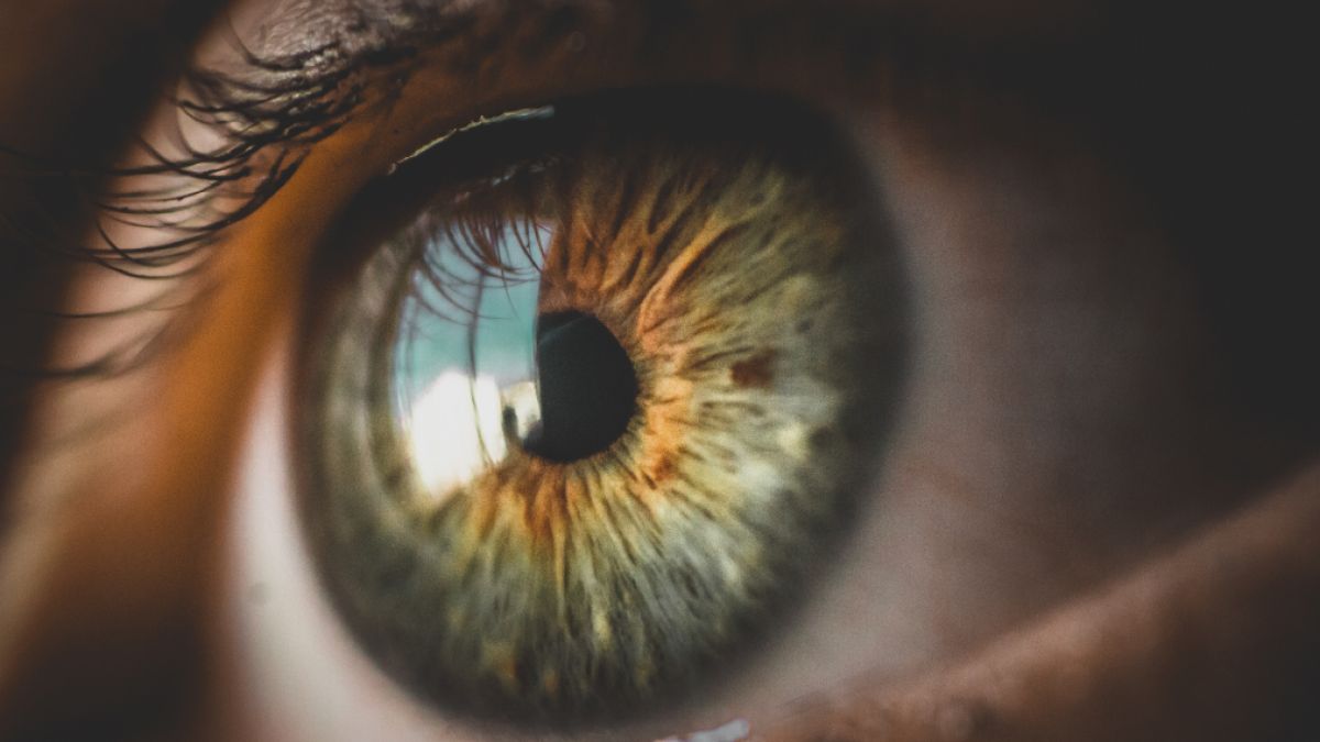 psychologytoday.com - John Nosta - What AI Can't Calculate About a Human Life
