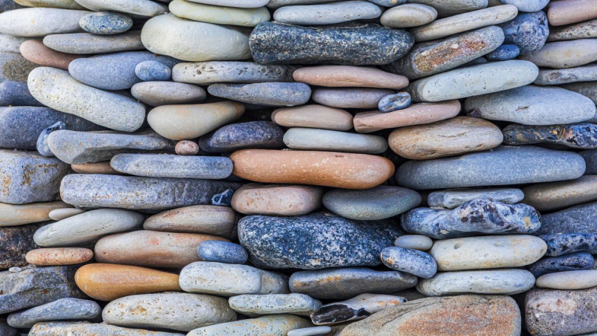 psychologytoday.com - Rebekka Grun von Jolk Ph.D. - The Economics of Trust