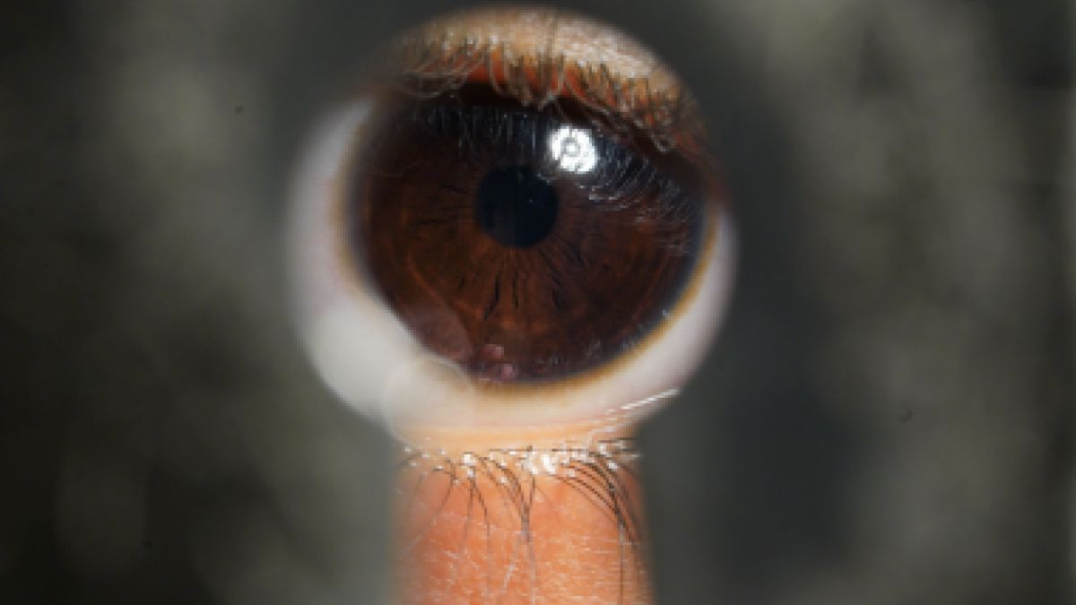 psychologytoday.com - Christopher Willard Psy.D. - Don't Try to Be Interesting. Be Interested.
