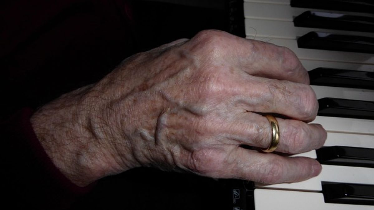 psychologytoday.com - Gregg Levoy - Old Dogs and New Tricks, a Beginner's Mind for Older People