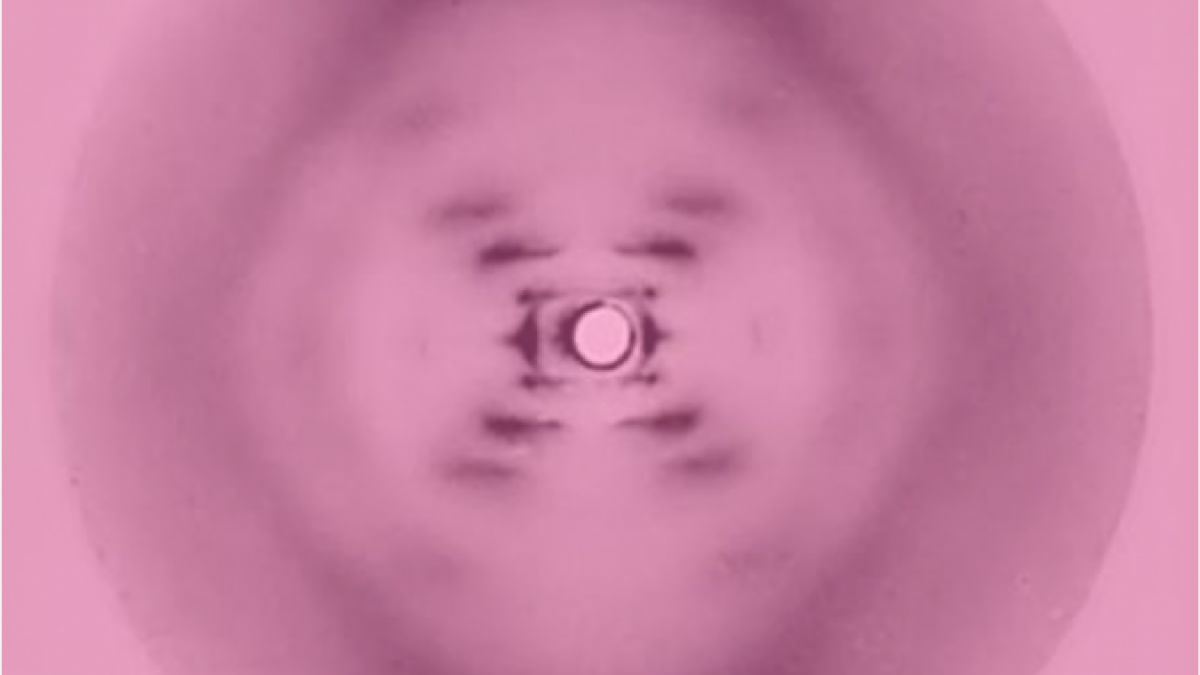 psychologytoday.com - Conor H. Murray Ph.D. - Why 'Mind Reading' Is Coming for Psychedelic Neuroscience