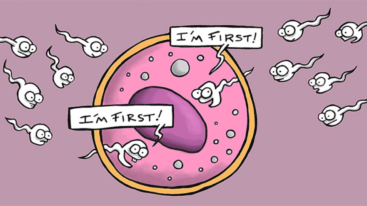 Undagi sperma surati