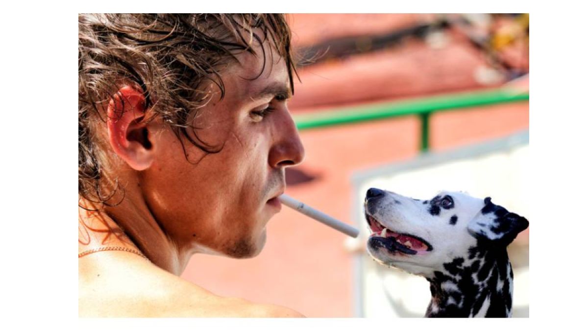 dog addicted to alcohol and cigarettes STUPID LOSER cigarettes! In Rare Case, UK Dog