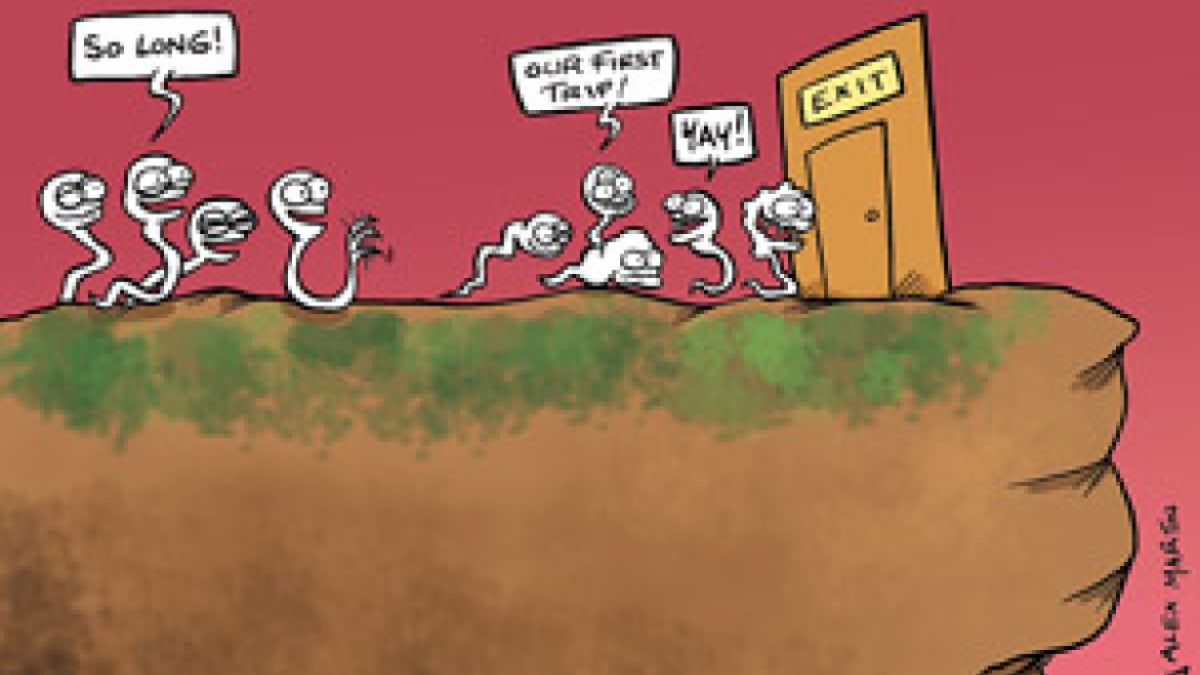 Masturbation: Self-Abuse or Biological Necessity?