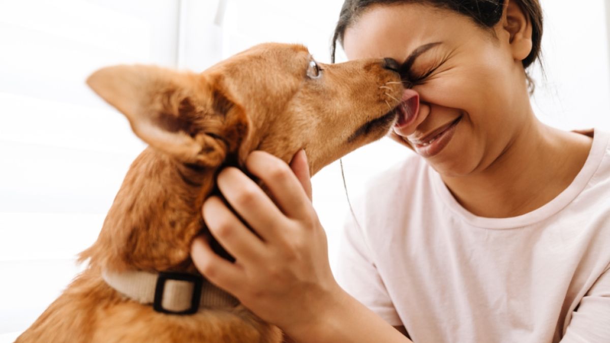 What It Means When a Dog Licks You | Psychology Today