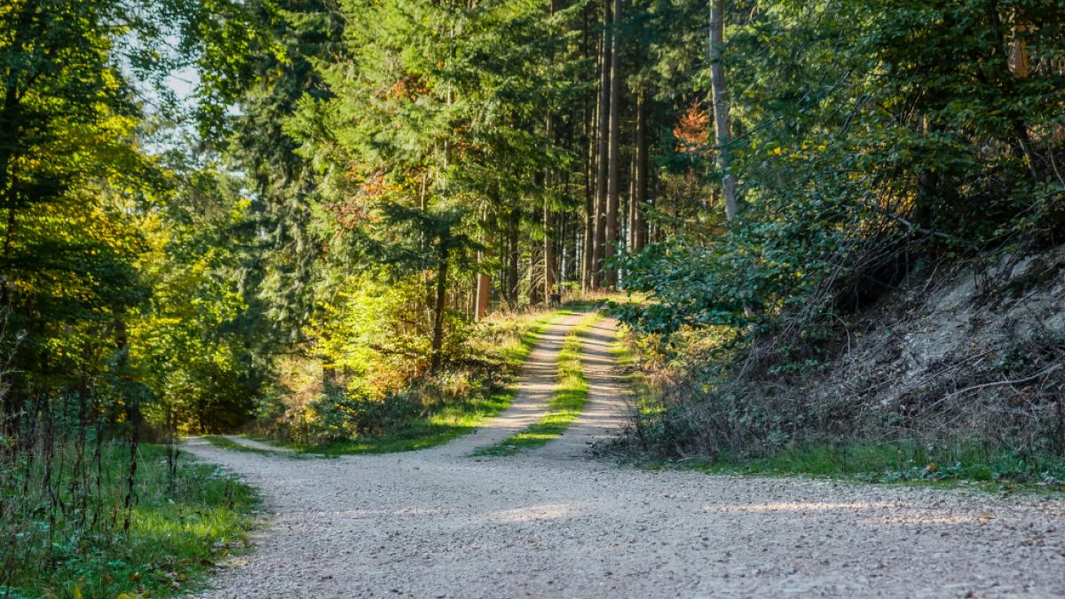 psychologytoday.com - Cornelia C. Walther Ph.D. - Can We Still Choose Our Path to the Hybrid Future?