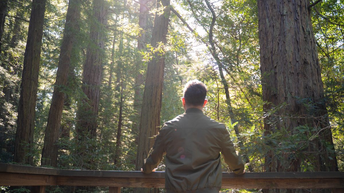 psychologytoday.com - Jaron Vesely MSW - When Understanding Yourself Isn't Enough