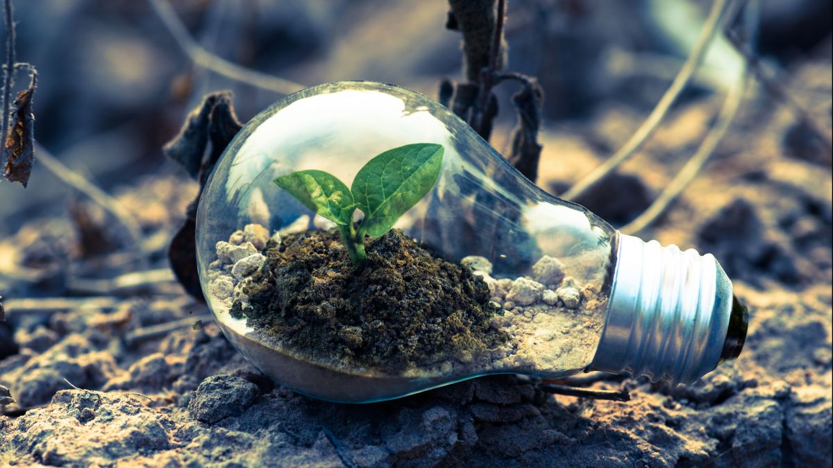 psychologytoday.com - Matilde Tassinari Ph.D. - A Climate Future You Can Step Into