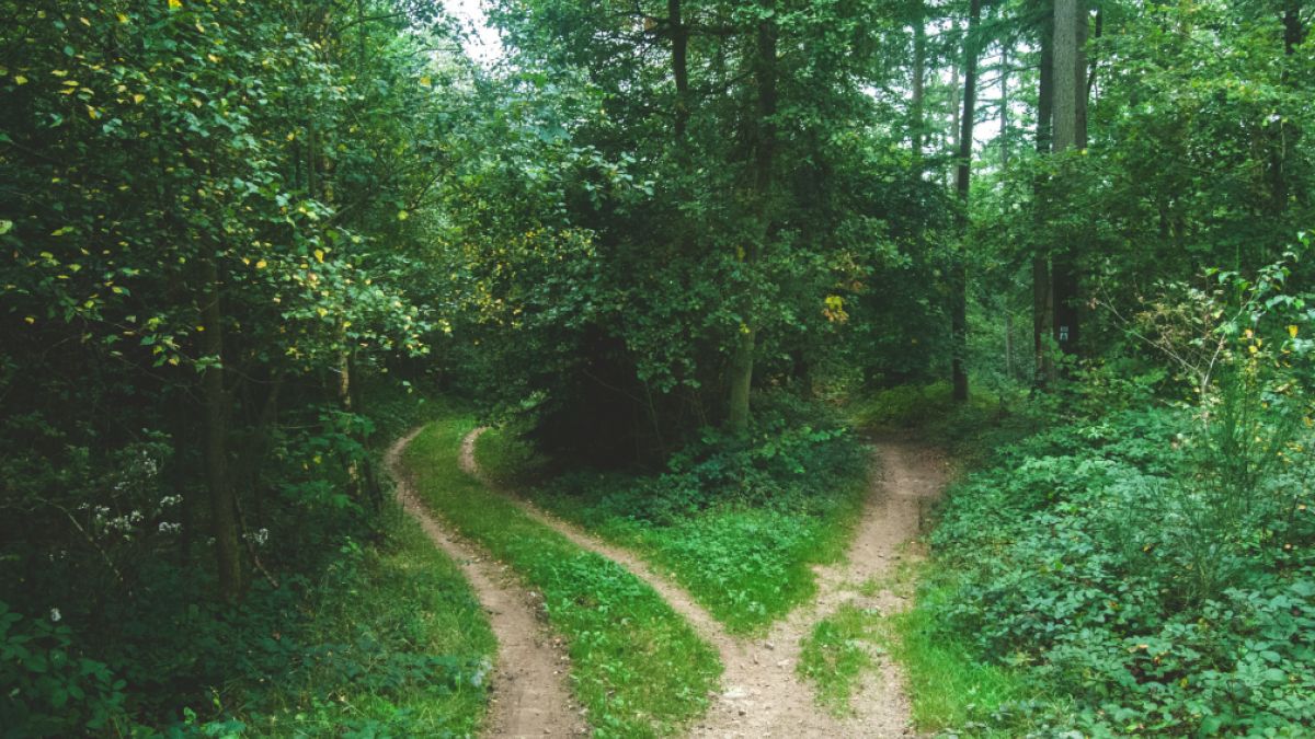 psychologytoday.com - Joseph Plummer M.S., M.Ed., M.B.A. - Supporting Decision-Making for Climate Action