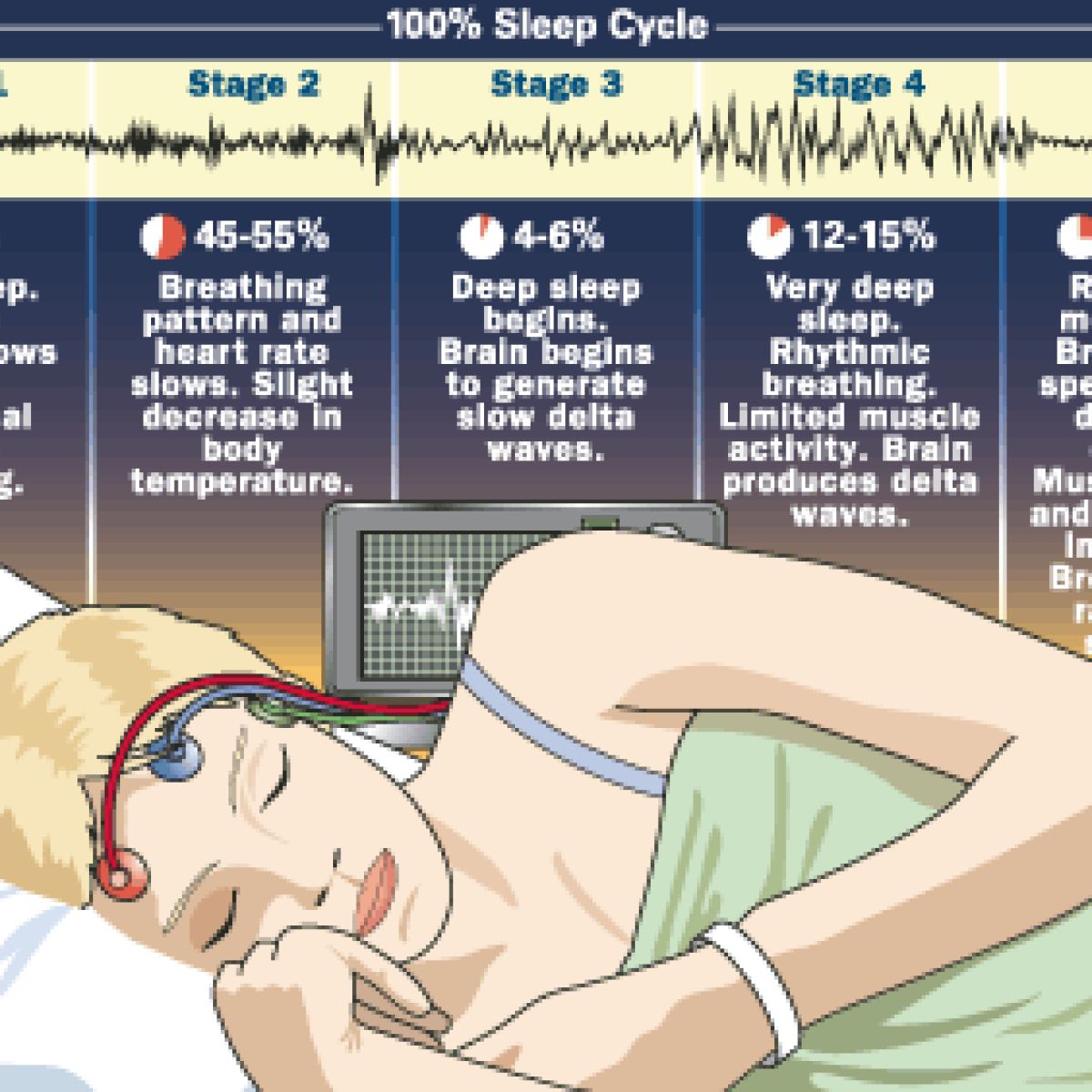 The Prefrontal Cortex During Sleep | Psychology Today