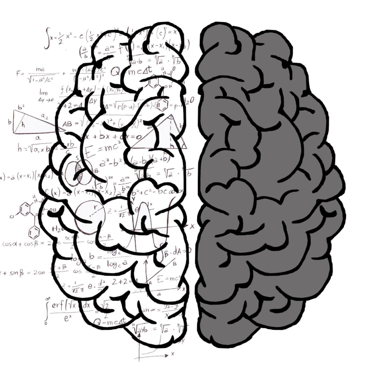 Left Brain-Right Brain Study Debunks a Decades-Old Neuromyth