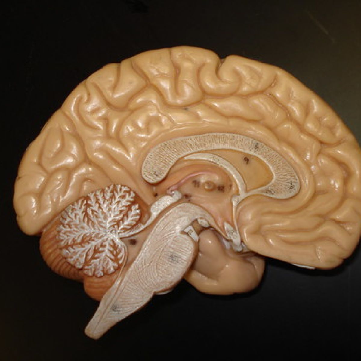 The Trauma From Living With a Chronic Mysterious Illness | Psychology Today, image size:1200x1200