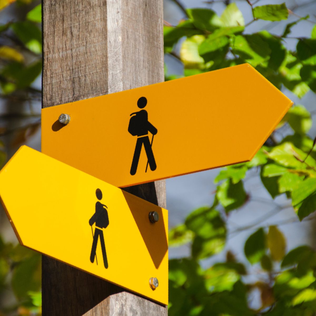 Usos del subjuntivo: ejercicios y ejemplos claros, image size:1200x1200