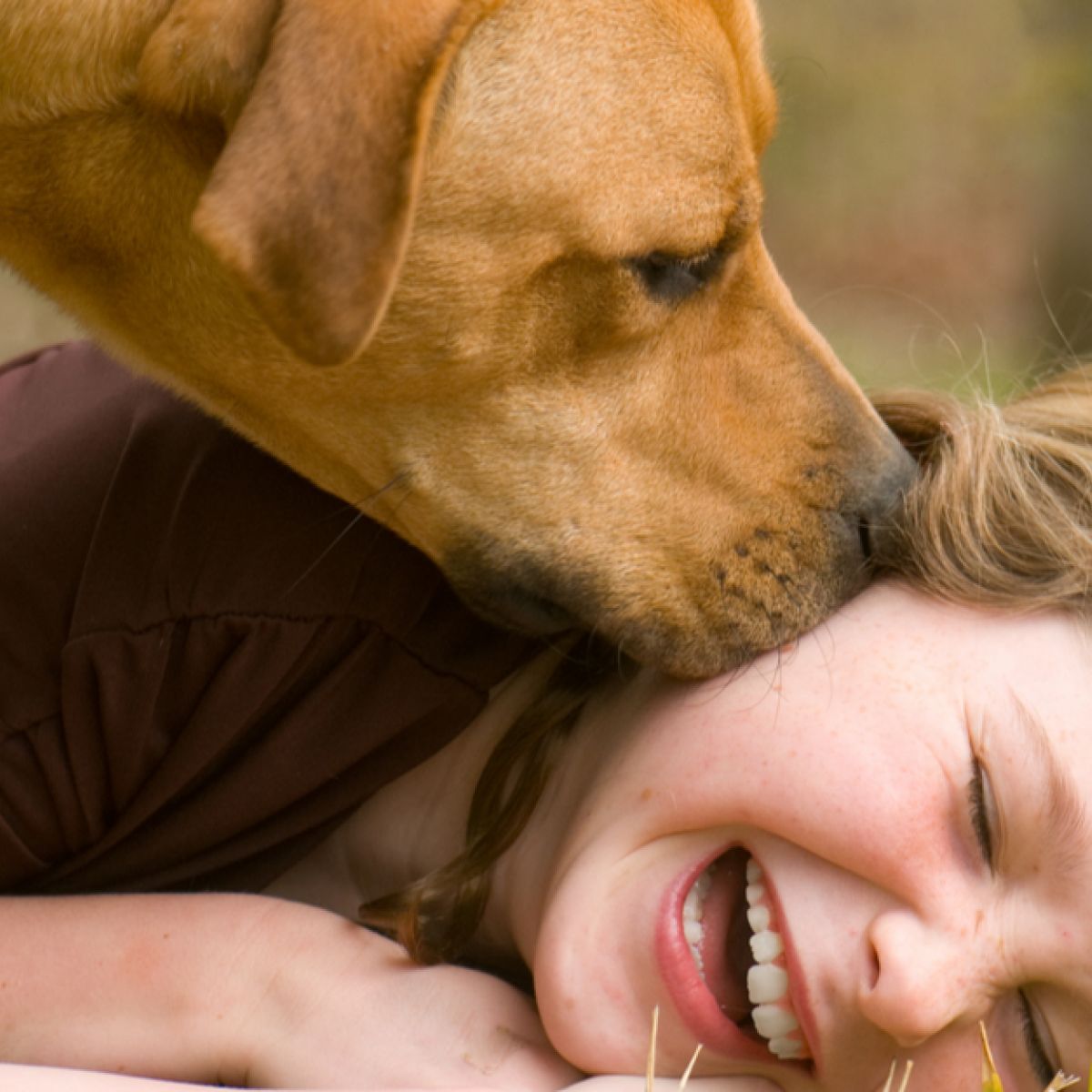 tu perro realmente te ama