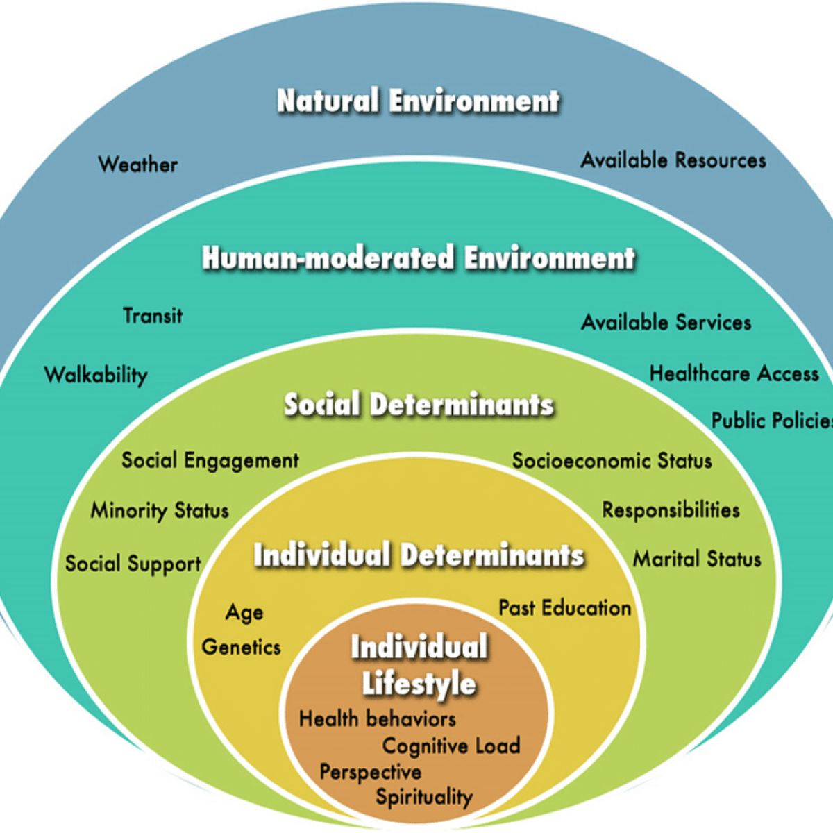 Ecological Model With Examples Ecological Model New Publication In Ecological Modelling Marine