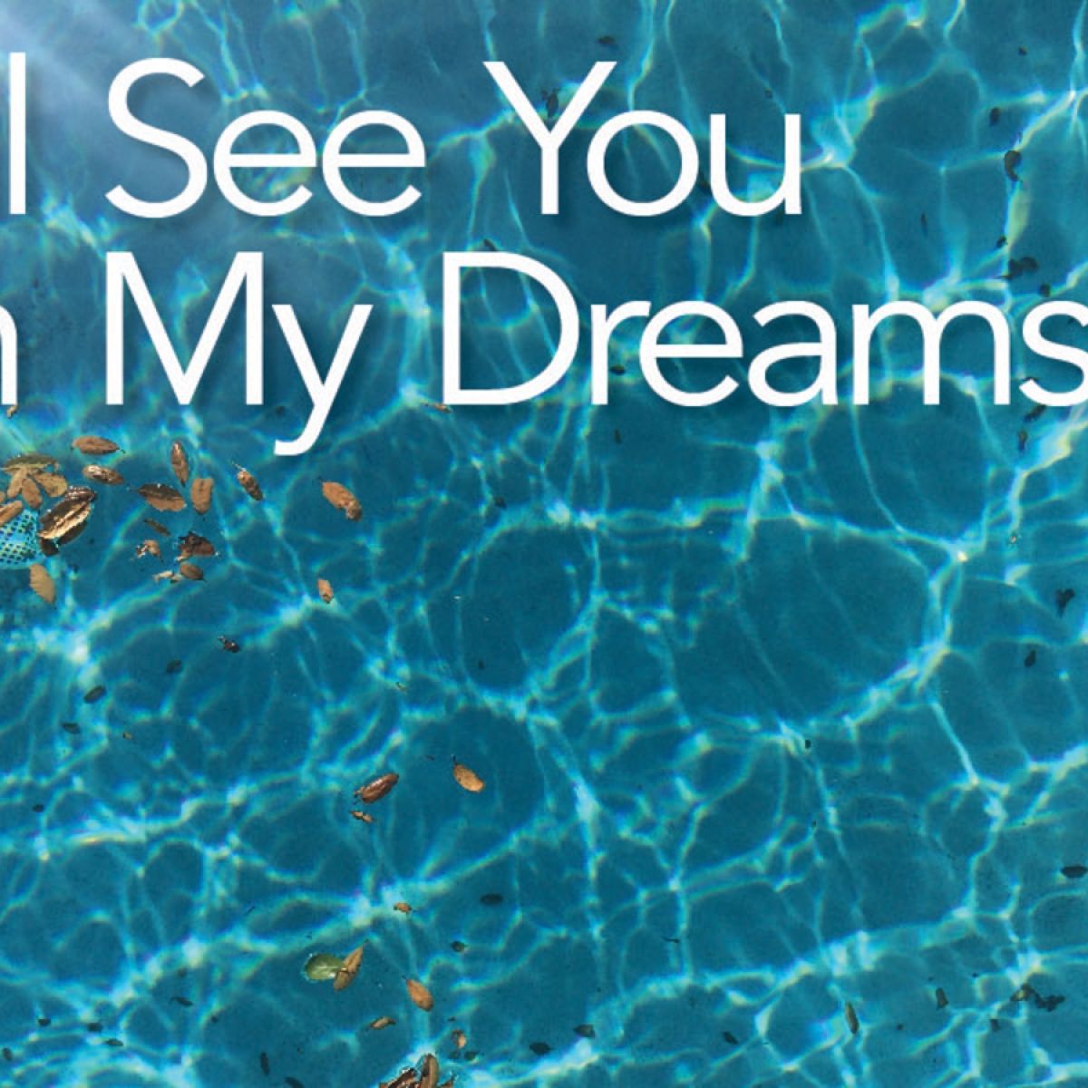 Movie Review: I'll See You In My Dreams