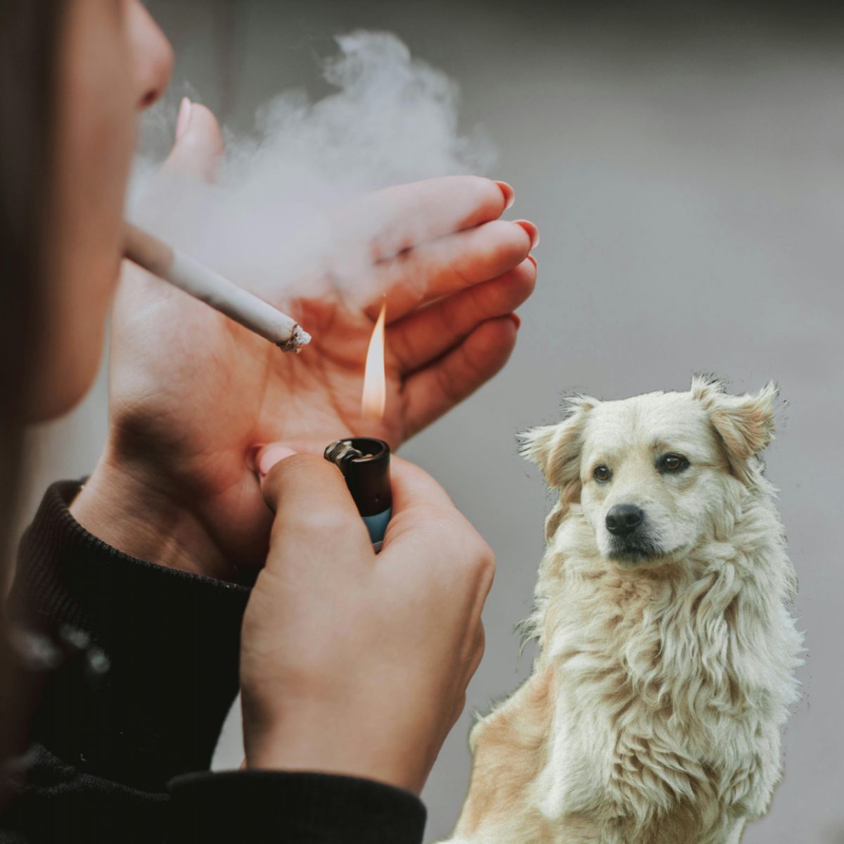 cigarette free Tobacco-Free Campuses