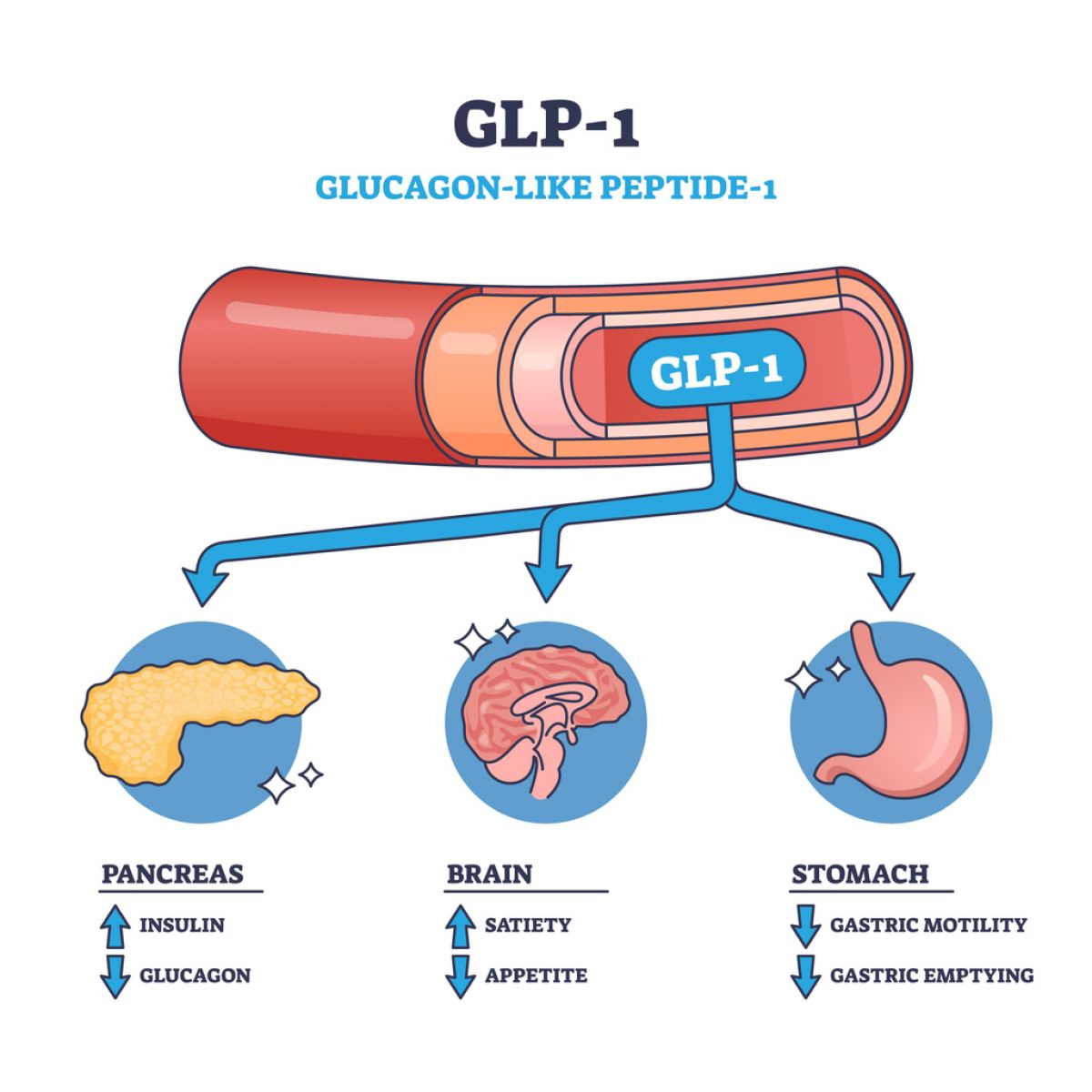 shedrx glp 1 ShedRx and semaglutide have been life altering for me. So grateful I  started when I did ❤️❤️❤️#semaglutide #semaglutideforweightloss  #semaglutideweightloss #semaglutidetransformation #semaglutidecompound  #semaglutidetribe #glp #glp1