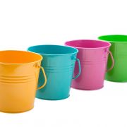 heinzteh / shutterstock