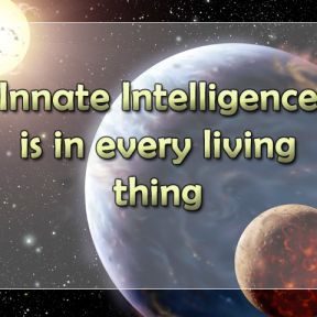 Innate Intelligence is in every living thing.
