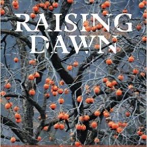 Cover of Raising Dawn by Diana Richmond