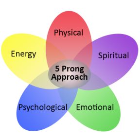Dr. Diane's 5 Prong Approach