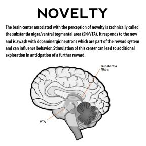 Novelty adapted from Scientific Moment, page 24:  Inside the Head of a Collector:  Neuropsychological Forces at Play, 2019