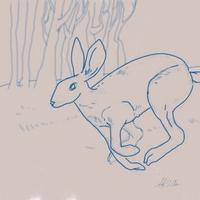 Sketch of Rabbit