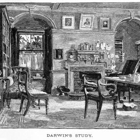 Darwin's study, from Charles Frederick Holder: 'Charles Darwin, HIs LIfe and Work', 1891.