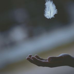 Hope is adding feathers to your life
