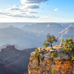 A Snapshot of the Grand Canyon Could Depict How We View Others in the Workplace