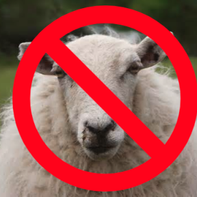 don't be a sheep