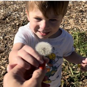 Cole's first dandelion