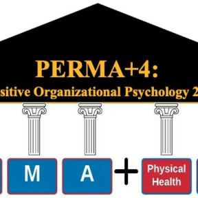The PERMA+4 Framework