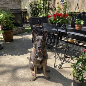 Leah in our sanctuary.